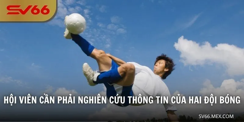 Hội viên cần phải nghiên cứu thông tin của hai đội bóng